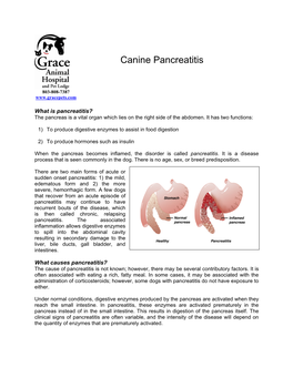 Canine Pancreatitis