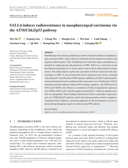 SALL4 Induces Radioresistance in Nasopharyngeal Carcinoma Via the ATM/Chk2/P53 Pathway