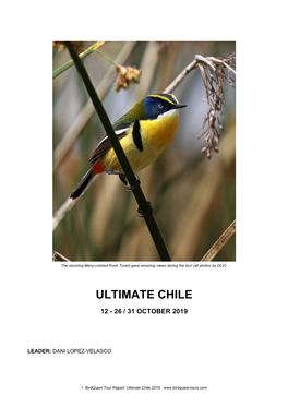 Ultimate Chile Tour Report 2019