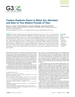 Tandem Duplicate Genes in Maize Are Abundant and Date to Two Distinct Periods of Time