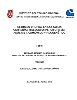 El Hueso Urohial En La Familia Gerreidae (Teleostei: Perciformes): Análisis Taxonómico Y Filogenético