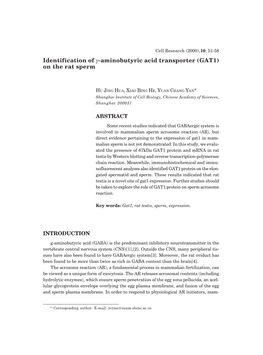 Identification of Γ-Aminobutyric Acid Transporter (GAT1) on the Rat Sperm