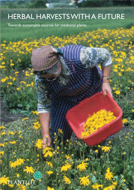 Herbal Harvest with a Future: Towards