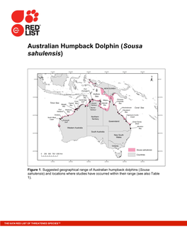 Australian Humpback Dolphin (Sousa Sahulensis)