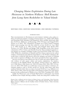 Shell Remains from Leang Sarru Rockshelter in Talaud Islands