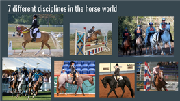 7 Different Disciplines in the Horse World Dressage and Western Dressage ● Dressage Is the Harmonious Development of the Rider and Horse