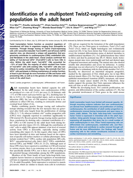 Identification of a Multipotent Twist2-Expressing Cell Population in the Adult Heart