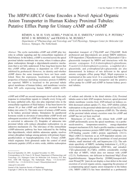 The MRP4/ABCC4 Gene Encodes a Novel Apical Organic Anion Transporter in Human Kidney Proximal Tubules: Putative Efflux Pump for Urinary Camp and Cgmp