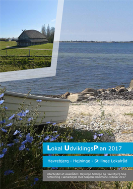 Lokal Udviklingsplan 2017