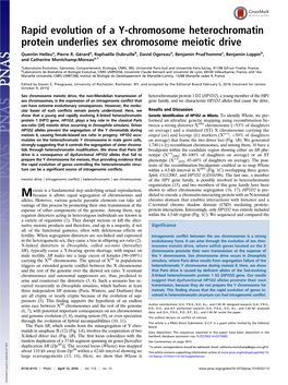 Rapid Evolution of a Y-Chromosome Heterochromatin Protein Underlies Sex Chromosome Meiotic Drive