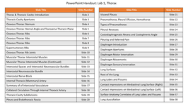 Powerpoint Handout: Lab 1, Thorax