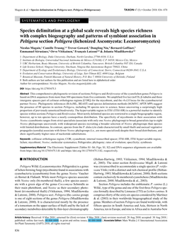 Species Delimitation at a Global Scale Reveals High Species Richness With