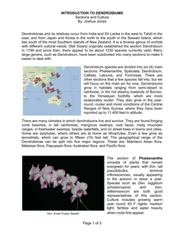 Intro to Dendrobium