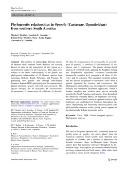 Phylogenetic Relationships in Opuntia (Cactaceae, Opuntioideae) from Southern South America