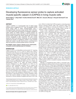 (CAPN3) in Living Muscle Cells Koichi Ojima1,*, Shoji Hata2, Fumiko Shinkai-Ouchi2, Mika Oe1, Susumu Muroya1, Hiroyuki Sorimachi2 and Yasuko Ono2