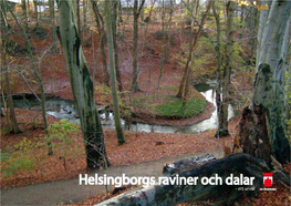Helsingborgs Raviner Och Dalar - Ett Urval Faktaruta Innehåll
