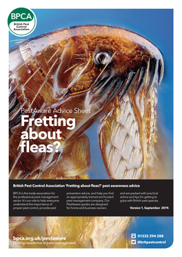 Fretting About Fleas Pest Advice Sheet