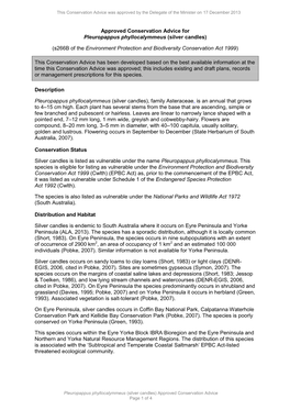 Approved Conservation Advice for Pleuropappus Phyllocalymmeus (Silver Candles)