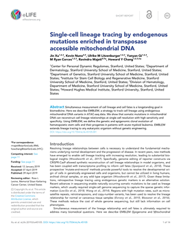 Single-Cell Lineage Tracing by Endogenous Mutations Enriched In