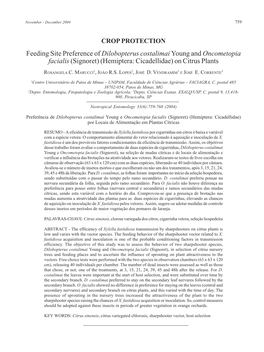 Oncometopia Facialis (Signoret) (Hemiptera: Cicadellidae) on Citrus Plants