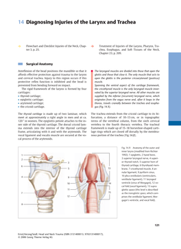 14 Diagnosing Injuries of the Larynx and Trachea