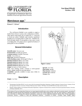 Narcissus Spp.1