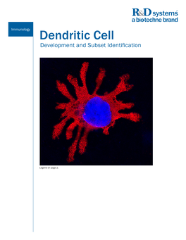 Dendritic Cell Development and Subset Identification