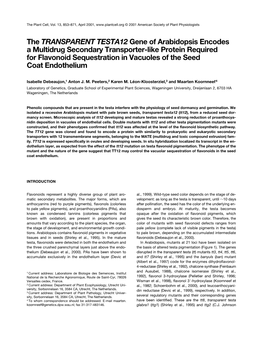 The TRANSPARENT TESTA12 Gene of Arabidopsis Encodes a Multidrug