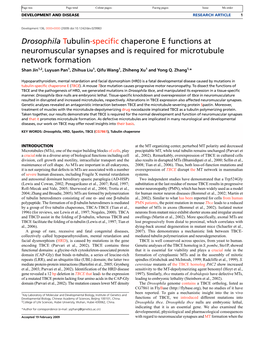 Drosophila Tubulin-Specific Chaperone E Functions At