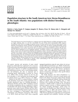 Population Structure in the South American Tern Sterna Hirundinacea in the South Atlantic: Two Populations with Distinct Breeding Phenologies