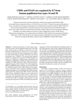 CDH1 and SNAI1 Are Regulated by E7 from Human Papillomavirus Types 16 and 18