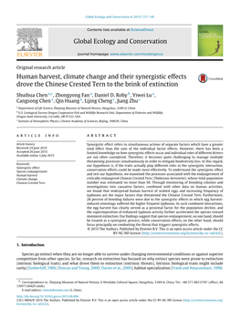 Human Harvest, Climate Change and Their Synergistic Effects Drove the Chinese Crested Tern to the Brink of Extinction