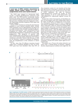 A Novel Type of NPM1 Mutation Characterized by Multiple Internal Tandem Repeats in a Case of Cytogenetically Normal Acute Myeloi