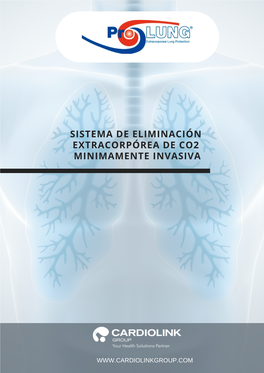 Sistema De Eliminación Extracorpórea De Co2 Minimamente Invasiva