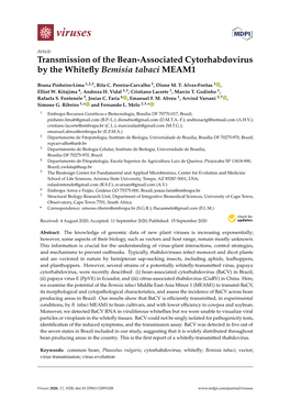 Transmission of the Bean-Associated Cytorhabdovirus by the Whitefly