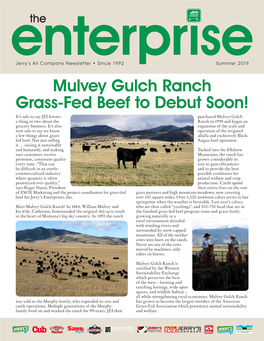 Mulvey Gulch Ranch Grass-Fed Beef to Debut Soon!