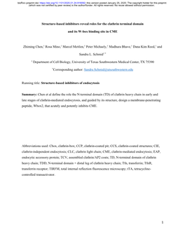 1 Structure-Based Inhibitors Reveal Roles for the Clathrin Terminal