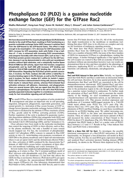 Phospholipase D2 (PLD2) Is a Guanine Nucleotide Exchange Factor (GEF) for the Gtpase Rac2