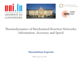 Thermodynamics of Biochemical Reaction Networks: Information, Accuracy and Speed