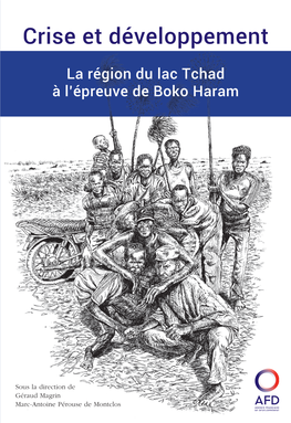 Crise Et Développement La Région Du Lac Tchad À L’Épreuve De Boko Haram Crise Et Développement