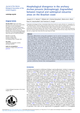 Morphological Divergence in the Anchovy Anchoa Januaria