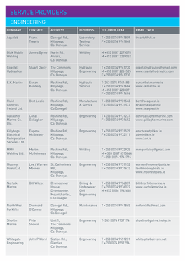 Service Providers Engineering