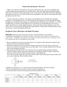 Vision Lab (Advanced) - Overview