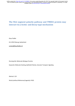 The Wnt Segment Polarity Pathway and TMED2 Protein May Interact Via a Lectin- and Decoy-Type Mechanism