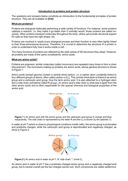 Introduction to Proteins and Protein Structure the Questions and Answers Below Constitute an Introduction to the Fundamental