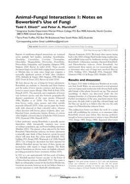 Animal-Fungal Interactions 1: Notes on Bowerbird's Use of Fungi