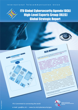 (HLEG) Global Strategic Report