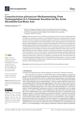 Corynebacterium Glutamicum Mechanosensing: from Osmoregulation to L-Glutamate Secretion for the Avian Microbiota-Gut-Brain Axis