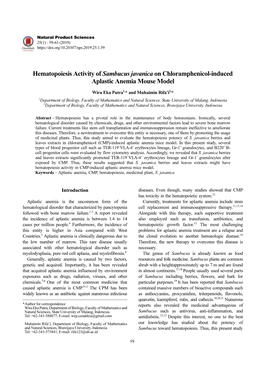 Hematopoiesis Activity of Sambucus Javanica on Chloramphenicol-Induced Aplastic Anemia Mouse Model