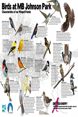 M.B. Johnson Park – Birds